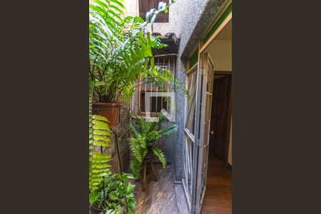 Jardim de Inverno na Sala 1 de casa à venda com 4 quartos, 321m² em Pompéia, Belo Horizonte