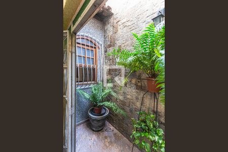 Jardim de Inverno na Sala 1 de casa à venda com 4 quartos, 321m² em Pompéia, Belo Horizonte