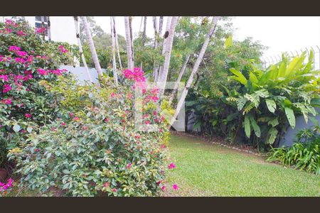 Área comum de kitnet/studio para alugar com 1 quarto, 26m² em Carvoeira, Florianópolis