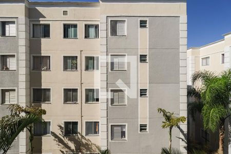 Vista do Quarto 1 de apartamento para alugar com 2 quartos, 47m² em Parque Munhoz, São Paulo