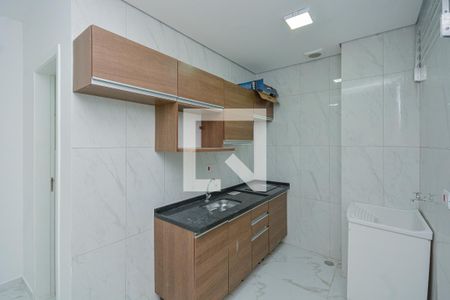 Cozinha e Área de Serviço de apartamento para alugar com 1 quarto, 29m² em Jardim Sabara, São Paulo