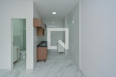 Cozinha e Área de Serviço de apartamento para alugar com 1 quarto, 26m² em Jardim Sabara, São Paulo