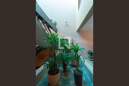 Jardim de Inverno de casa à venda com 3 quartos, 359m² em Jardim do Vovô, Campinas