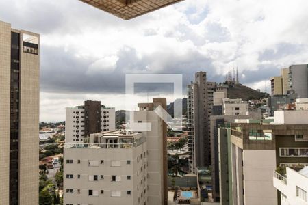 Vista da Suíte 1 de apartamento para alugar com 3 quartos, 388m² em Belvedere, Belo Horizonte