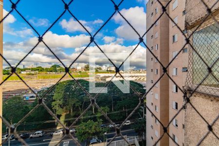 Vista Quarto de apartamento para alugar com 3 quartos, 88m² em Vila Campestre, São Paulo
