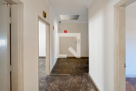 Corredor de casa para alugar com 3 quartos, 447m² em Cambuci, São Paulo
