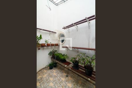 Sala - Jardim de Inverno de casa para alugar com 3 quartos, 200m² em Parque Jabaquara, São Paulo