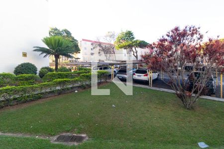 Sala de Jantar de apartamento à venda com 3 quartos, 77m² em Conjunto Residencial Souza Queiroz, Campinas