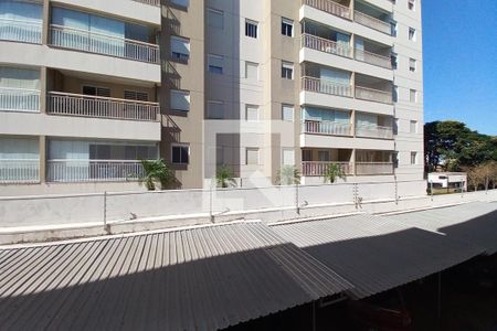 Vista do Quarto 2 de apartamento à venda com 3 quartos, 70m² em Jardim Aurelia, Campinas