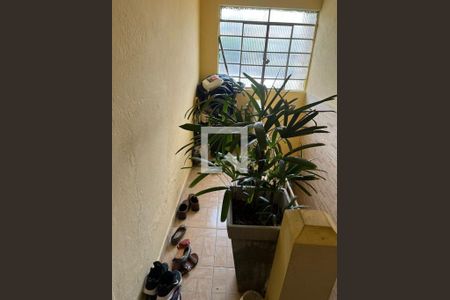 Foto 11 de casa à venda com 2 quartos, 100m² em Mooca, São Paulo