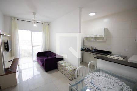 Sala de apartamento para alugar com 1 quarto, 45m² em Nova Mirim, Praia Grande