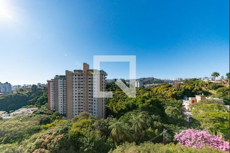 Sala de apartamento à venda com 2 quartos, 95m² em Luxemburgo, Belo Horizonte