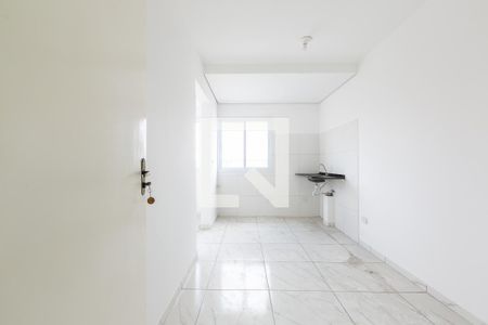 Sala/Cozinha de apartamento à venda com 2 quartos, 47m² em Vila Carmosina, São Paulo