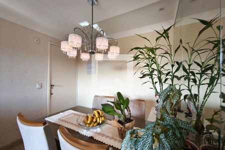 Sala de apartamento à venda com 2 quartos, 57m² em Jardim Novo Campos Eliseos, Campinas