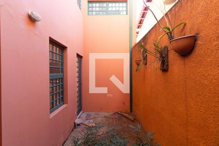 Área de Luz de casa para alugar com 3 quartos, 257m² em Taquaral, Campinas