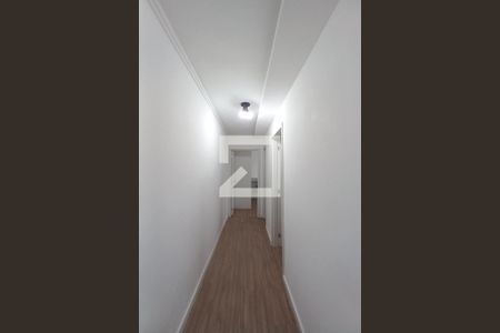 Corredor de apartamento à venda com 2 quartos, 46m² em Cidade Satélite Íris, Campinas