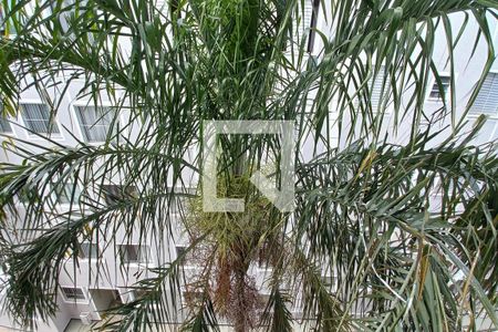 Vista da Sala de apartamento à venda com 2 quartos, 51m² em Vila Carminha, Campinas