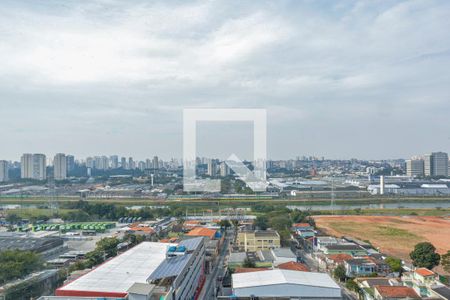 Vista do Quarto 1 de apartamento à venda com 2 quartos, 35m² em Veleiros, São Paulo