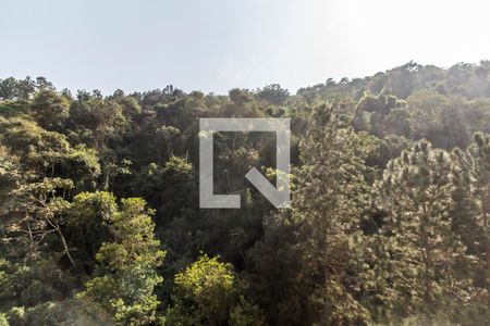 Vista da Varanda de apartamento à venda com 2 quartos, 116m² em Centro de Apoio I (alphaville), Santana de Parnaíba