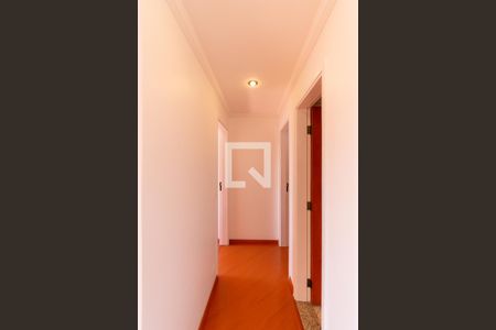 Corredor de apartamento para alugar com 2 quartos, 89m² em Vila Prudente, São Paulo