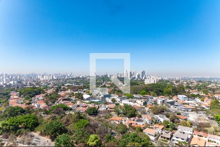Vista Varanda Estendida de apartamento à venda com 2 quartos, 50m² em Vila Anastácio, São Paulo