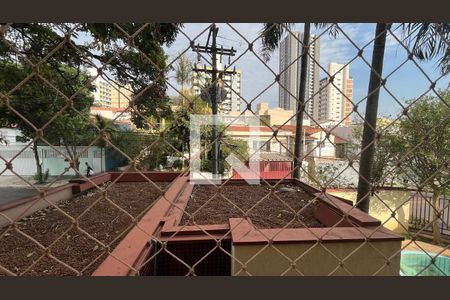 Vista da Varanda da Sala de apartamento à venda com 3 quartos, 80m² em Jardim Proença, Campinas