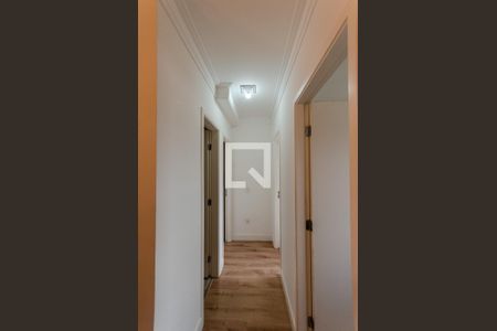 Corredor de apartamento à venda com 3 quartos, 72m² em Vila Pirituba, São Paulo