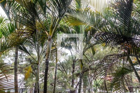 Vista de casa para alugar com 4 quartos, 214m² em São Fernando Residência, Barueri