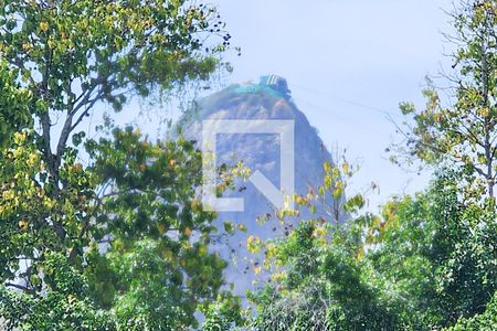 Vista Sala de apartamento para alugar com 4 quartos, 270m² em Flamengo, Rio de Janeiro