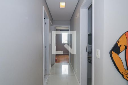 Corredor de apartamento para alugar com 3 quartos, 70m² em Jardim Maria Rosa, Taboão da Serra