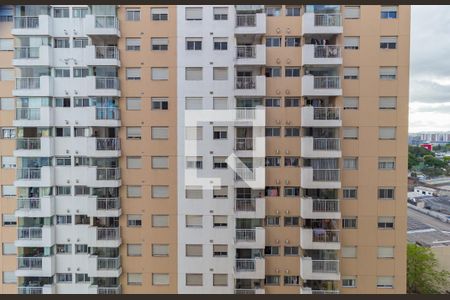 Vista - Varanda de apartamento à venda com 2 quartos, 55m² em Alto do Pari, São Paulo