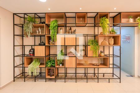 Casa à venda com 2 quartos, 492m² em Cidade dos Bandeirantes, São Paulo