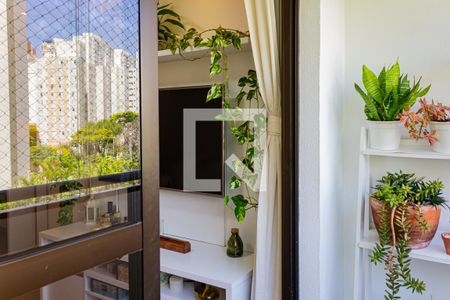 Varanda da Sala de apartamento à venda com 3 quartos, 79m² em Vila Hamburguesa, São Paulo