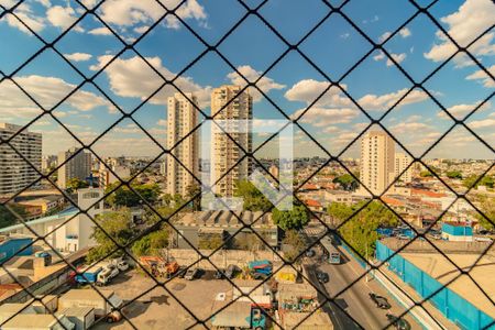 Apartamento à venda com 2 quartos, 52m² em Vila Santa Catarina, São Paulo