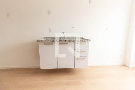 Cozinha de apartamento para alugar com 1 quarto, 28m² em Jardim São Paulo, São Paulo