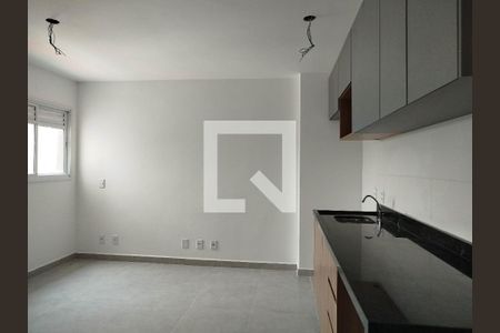 Studio cozinha/sala de kitnet/studio para alugar com 1 quarto, 29m² em Vila Carrão, São Paulo