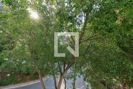 Vista do quarto 1 de apartamento para alugar com 2 quartos, 64m² em Jardim Paraíso, São Paulo