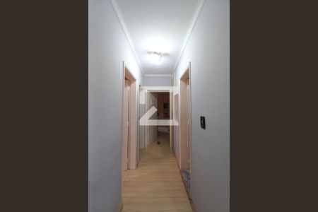 Corredor de apartamento à venda com 3 quartos, 78m² em Jardim dos Oliveiras, Campinas