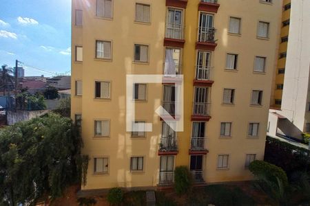 Vista do Quarto 1 de apartamento à venda com 3 quartos, 78m² em Jardim dos Oliveiras, Campinas