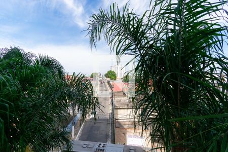 Vista da Varanda da Sala de apartamento à venda com 3 quartos, 84m² em Chácara Belenzinho, São Paulo