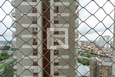 Vista da Varanda Gourmet de apartamento para alugar com 3 quartos, 127m² em Chacara Inglesa, São Bernardo do Campo