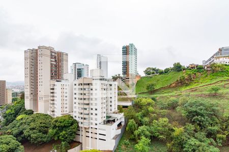 Varanda da Sala de apartamento para alugar com 4 quartos, 136m² em Luxemburgo, Belo Horizonte