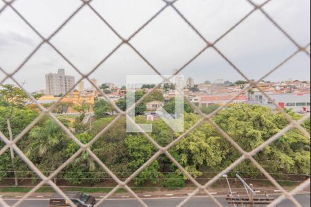 Vista do Quarto 1 de apartamento à venda com 2 quartos, 67m² em Jardim Dom Vieira, Campinas