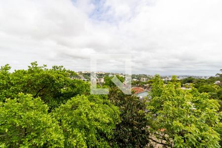 Vista do Quarto 1 de apartamento para alugar com 2 quartos, 100m² em Nonoai, Porto Alegre