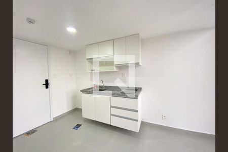 Studio de kitnet/studio para alugar com 1 quarto, 30m² em Belenzinho, São Paulo