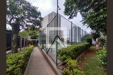 Quadra Esportiva de apartamento à venda com 2 quartos, 61m² em Jardim Patente Novo, São Paulo