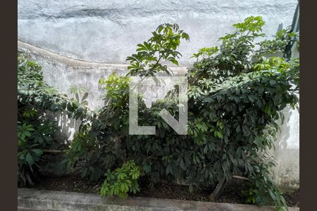 Quarto 1 de casa para alugar com 3 quartos, 290m² em Rolinópolis, São Paulo