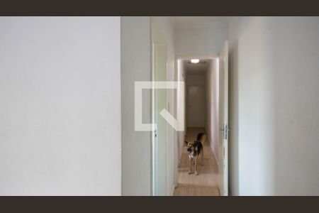Suíte de casa à venda com 4 quartos, 165m² em Vila Gustavo, São Paulo