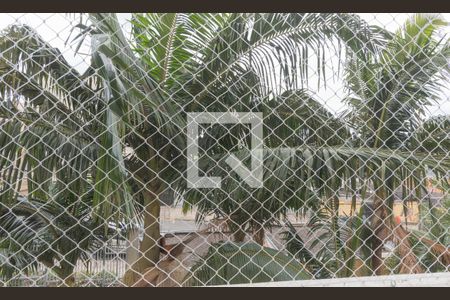 Sacada da Sala de apartamento à venda com 3 quartos, 66m² em Jardim Dom Vieira, Campinas