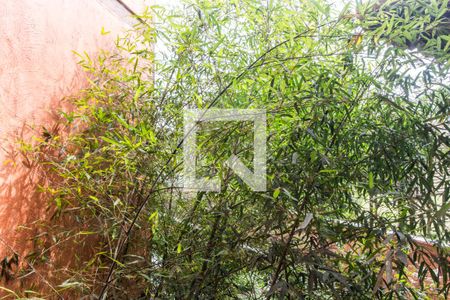 Vista da Sala de casa de condomínio para alugar com 4 quartos, 748m² em Residencial das Estrelas, Barueri